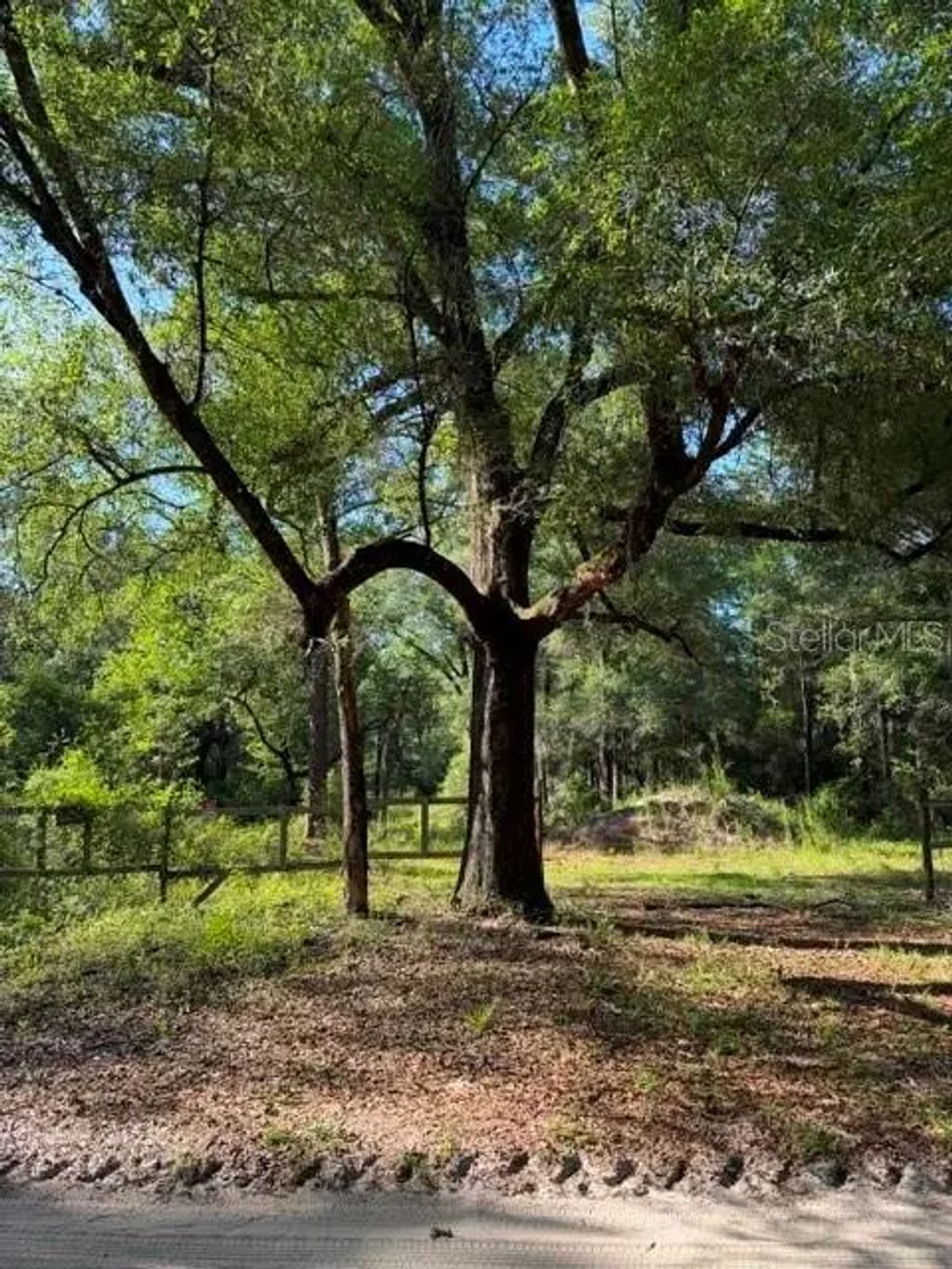 9587 Sw 151st Place, DUNNELLON