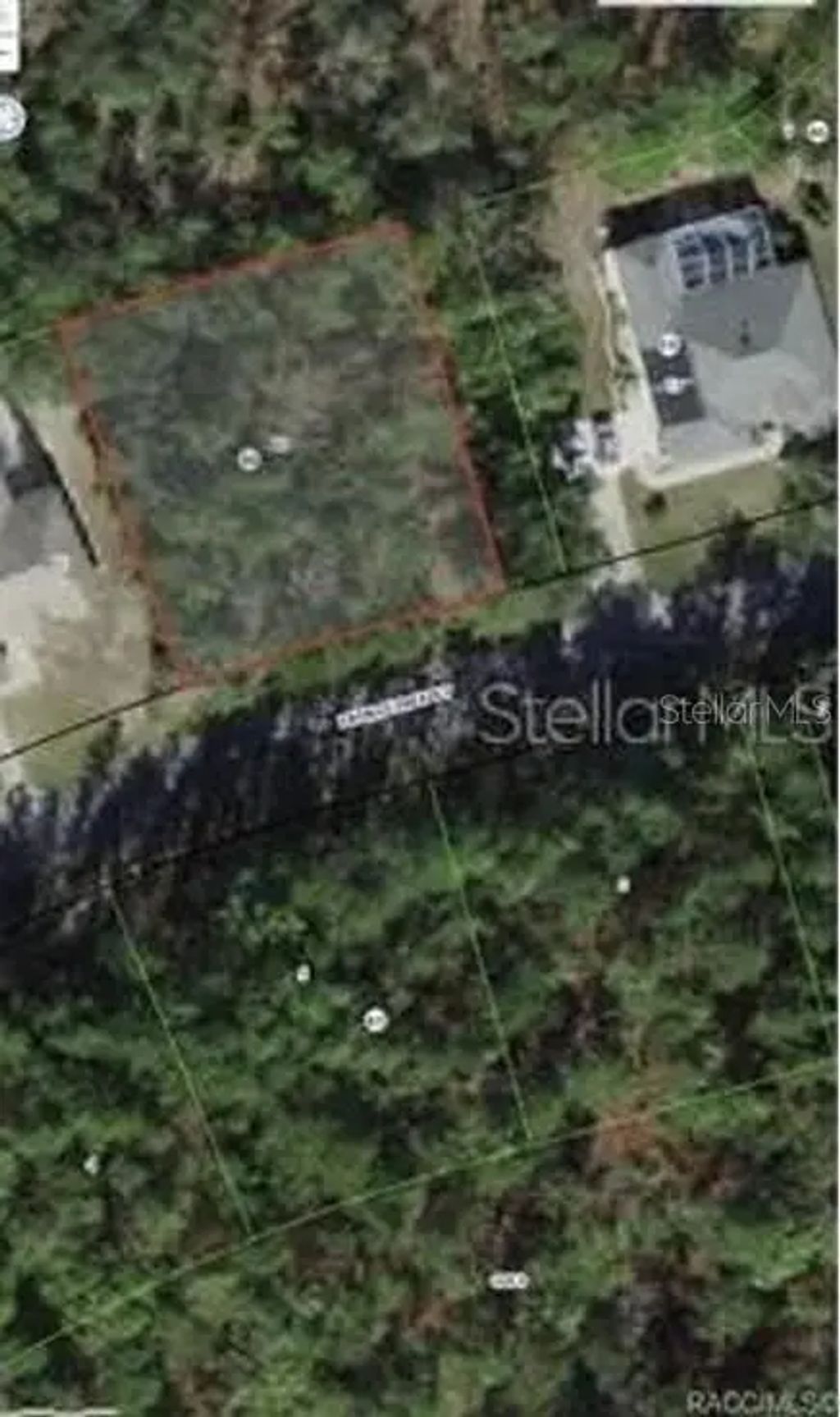38 Fringetree Street, HOMOSASSA