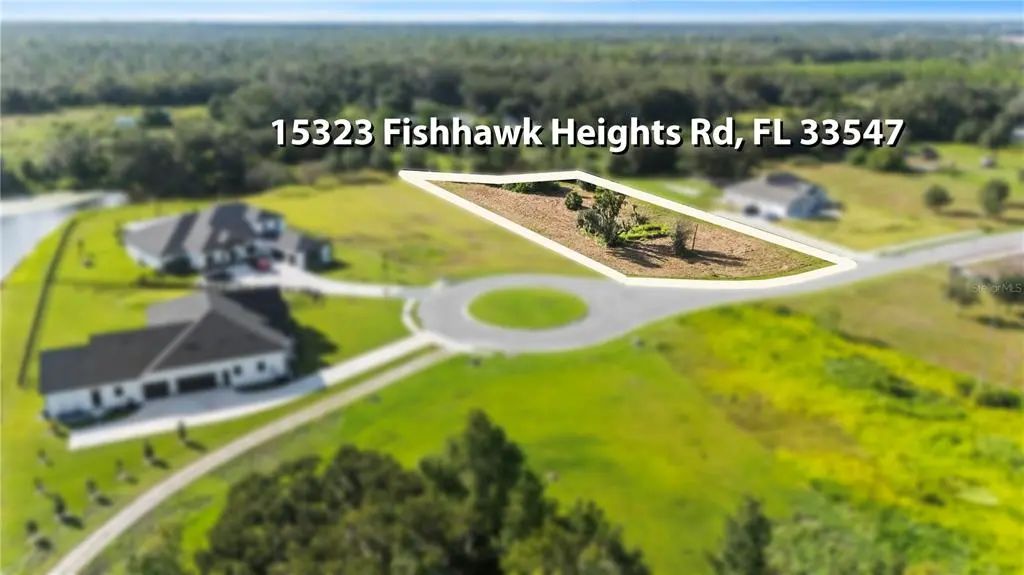 15323 Fishhawk Heights Run, LITHIA
