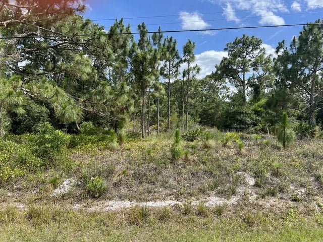 Oberly Parkway, ORLANDO