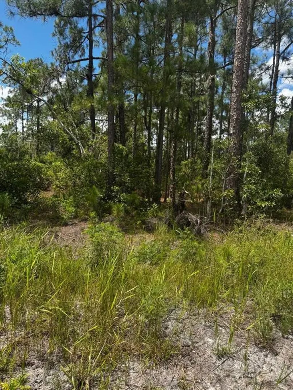 Mcclellan Rd 6, FROSTPROOF