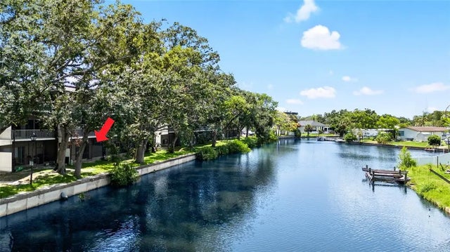9213 Tudor Drive B104, TAMPA