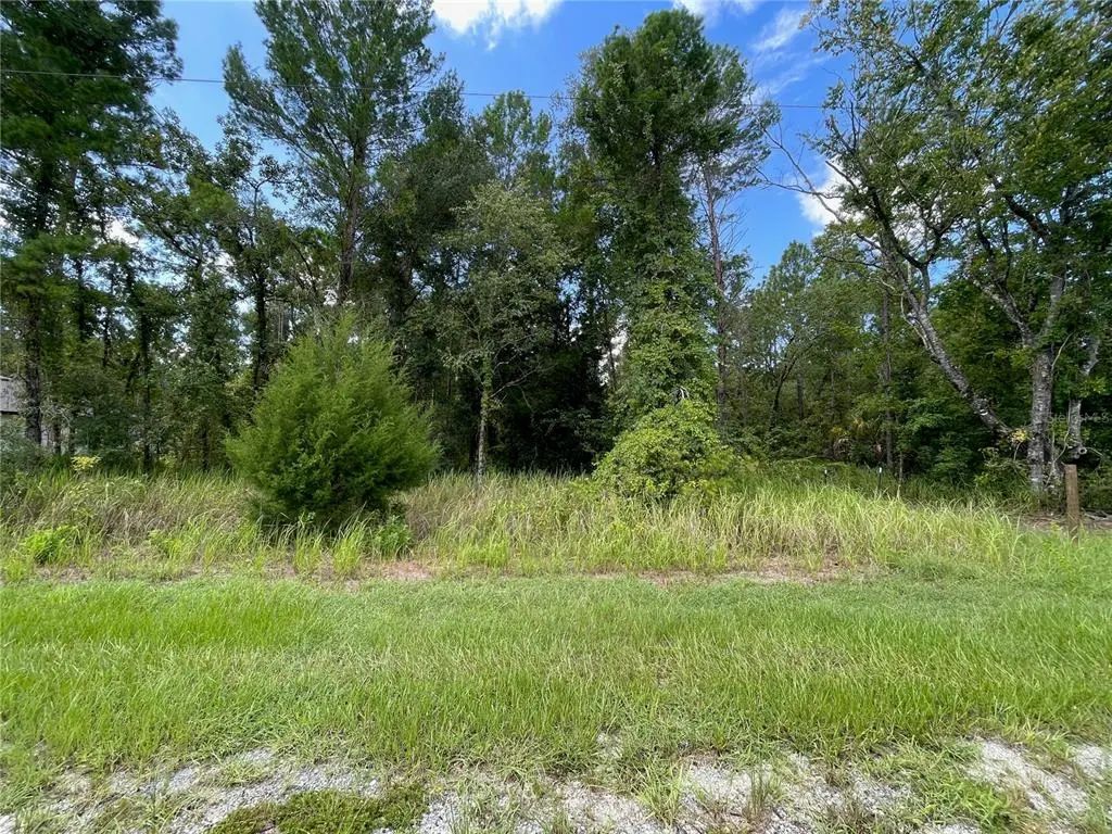 Thrasher Avenue, WEEKI WACHEE