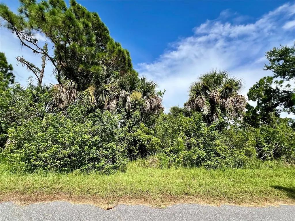 2168 Belvoir Street, PORT CHARLOTTE
