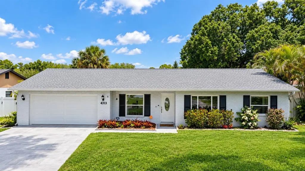 4313 Hollow Hill Drive, TAMPA
