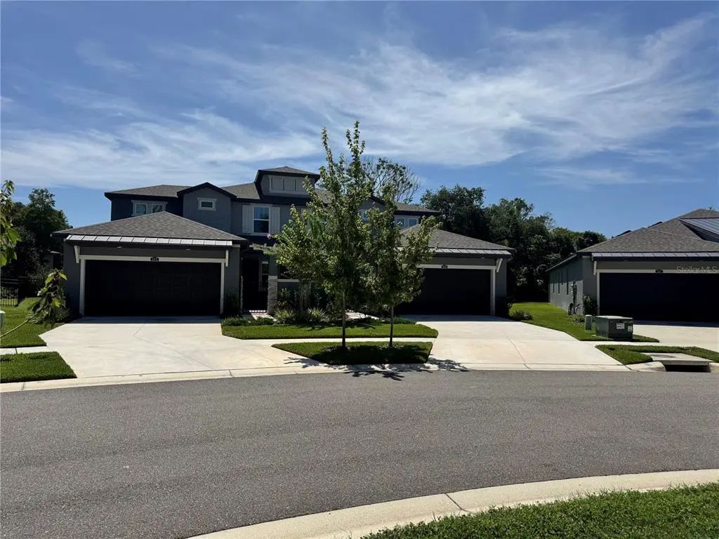 345 Villa Corte Drive, LUTZ