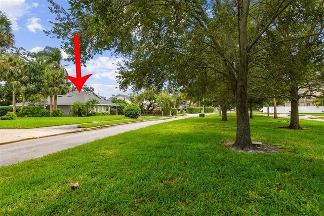 116 S Hale Avenue, TAMPA