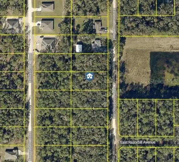 Lot 1021 Carolina Dove Road, BROOKSVILLE
