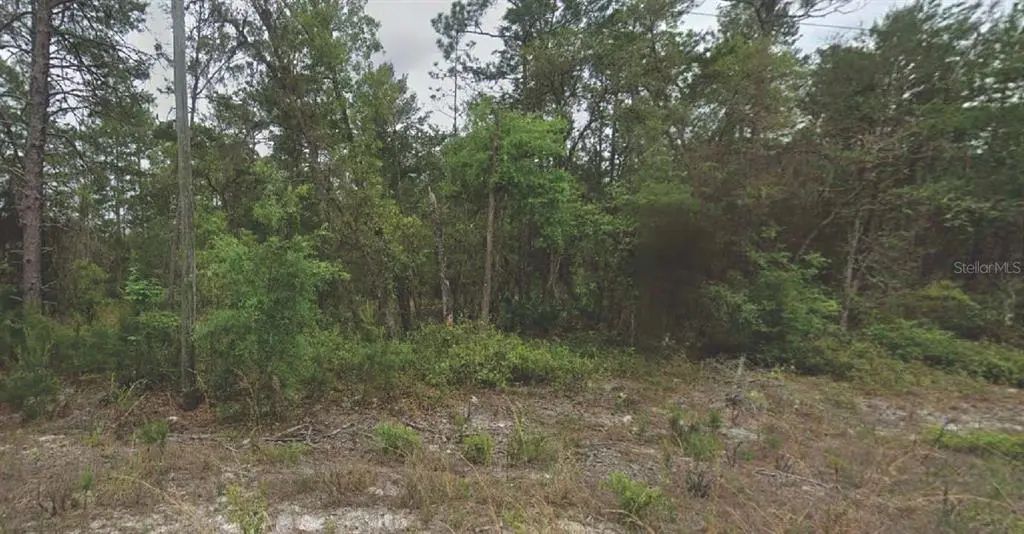120 New York Avenue, SATSUMA