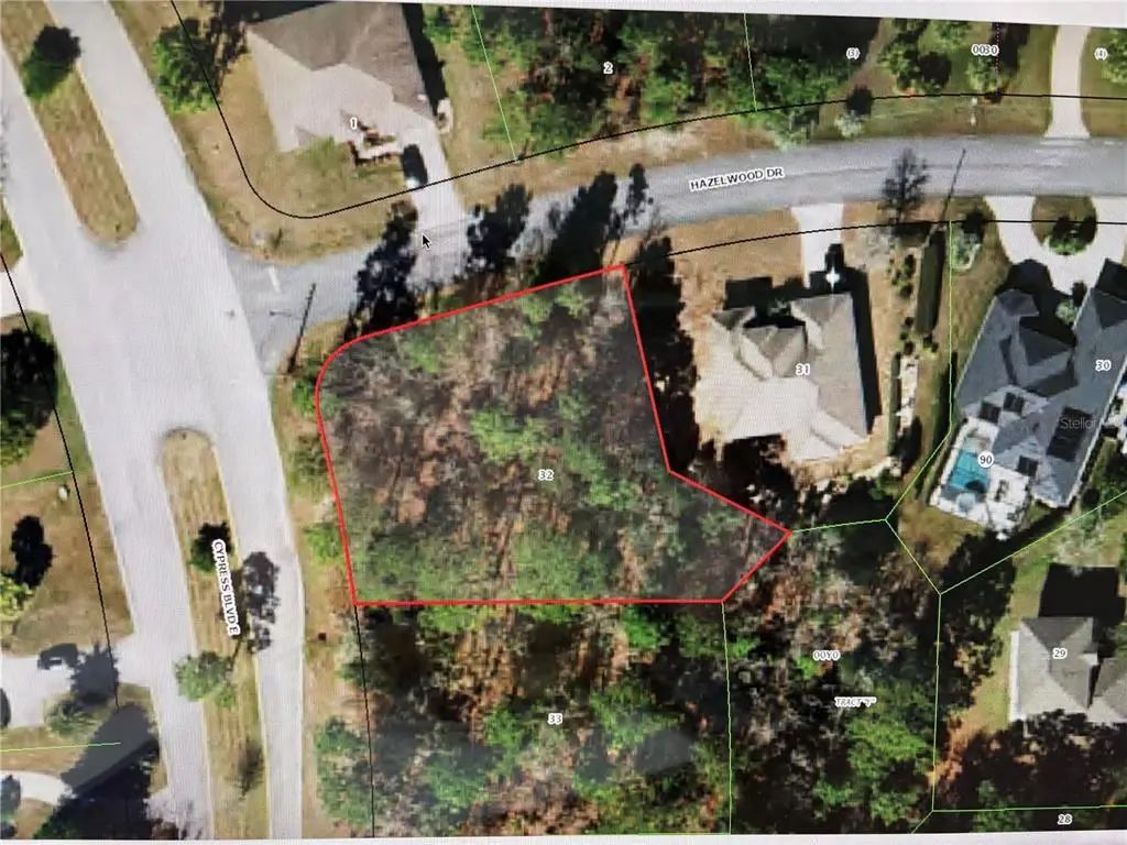 1 Hazelwood Drive, HOMOSASSA