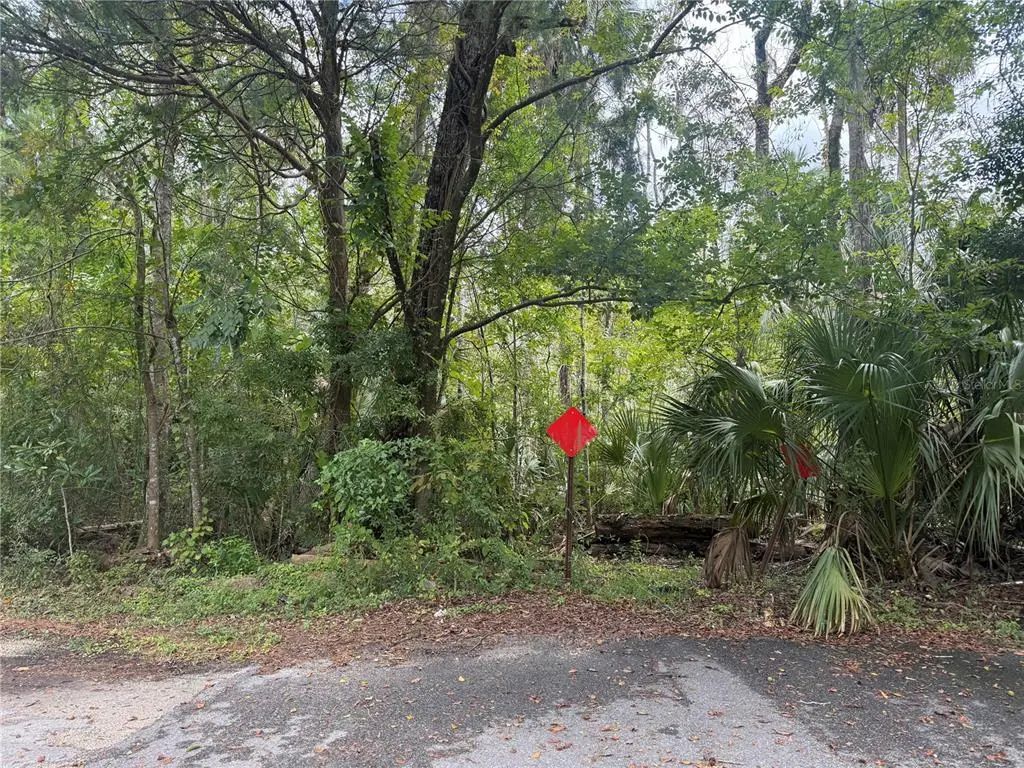 10103 W Main Street, HOMOSASSA