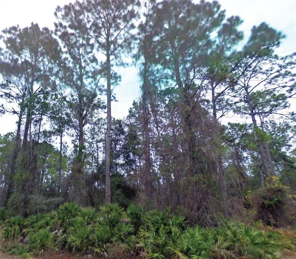 Ne 66th Avenue, CITRA