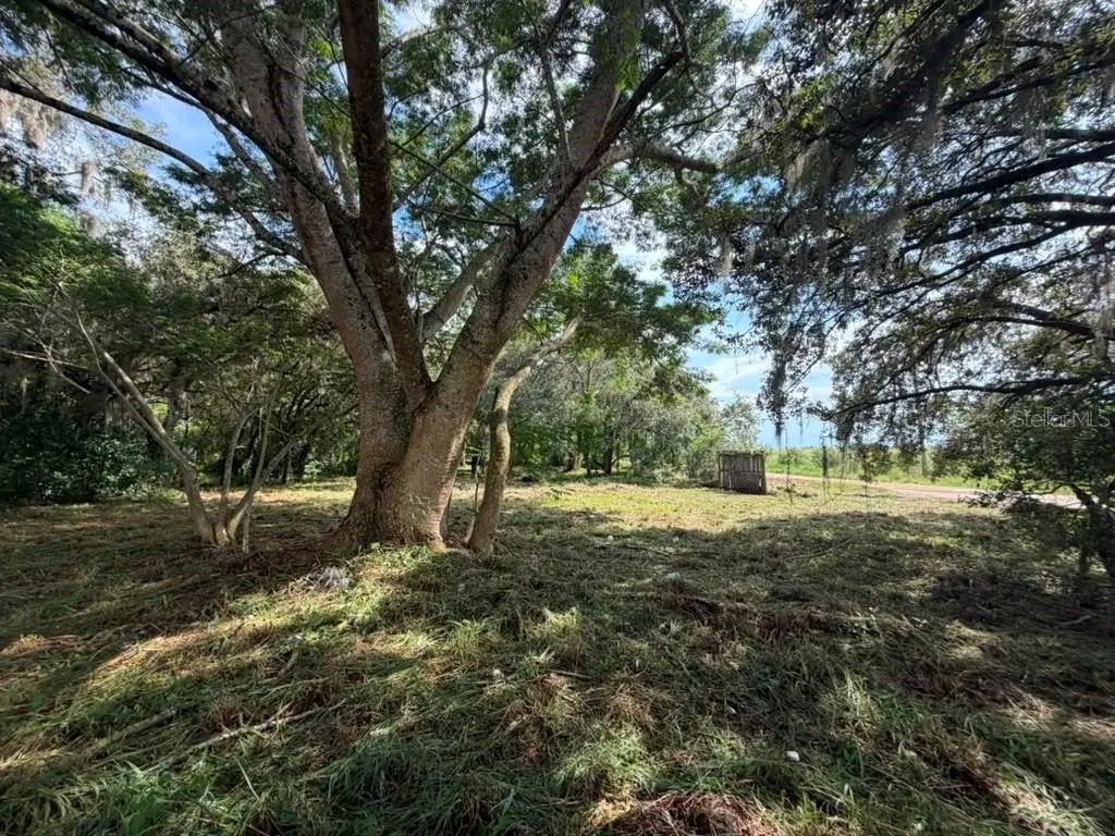 8156 Dogyard Road, LAKE WALES