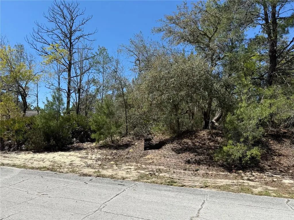 10762 N Moreno Drive, DUNNELLON