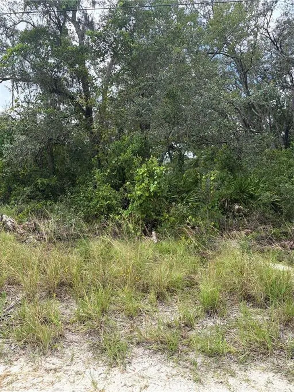 10333 Gilmer, NEW PORT RICHEY
