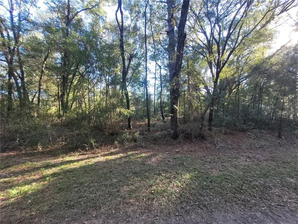 Sw 22nd Place, OCALA
