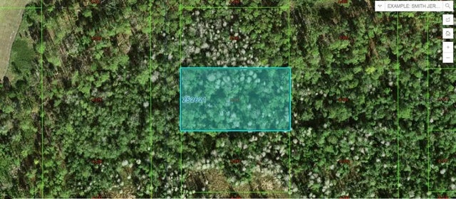 Commanwealth Ave N, POLK CITY