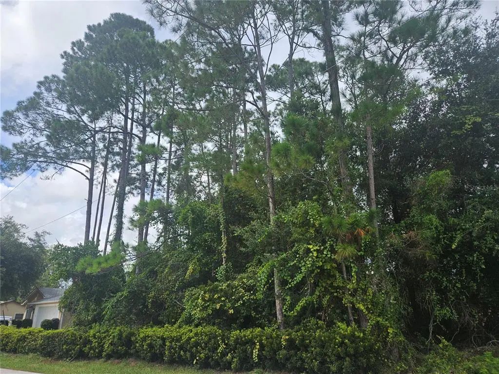 30 Panorama Drive, PALM COAST