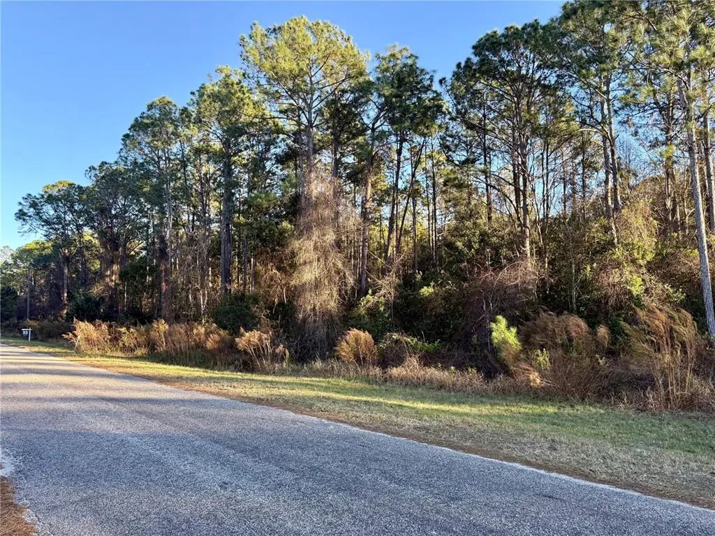 Apricot Avenue, EUSTIS