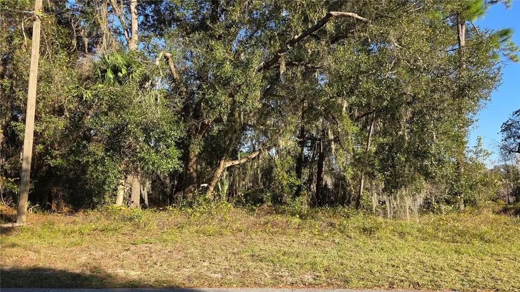 3009 Parma Drive, DELTONA