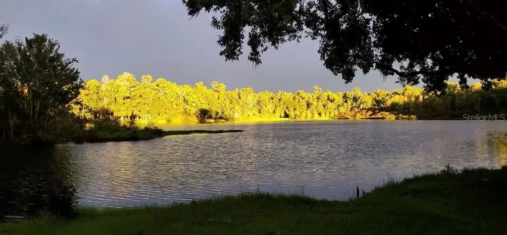 2092 Culbreath Road A78, BROOKSVILLE
