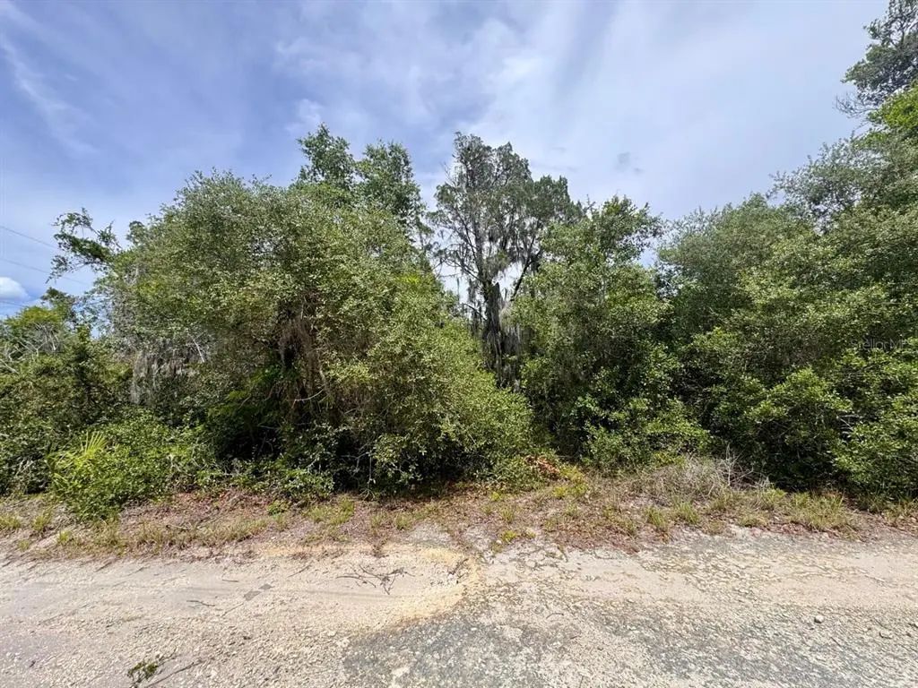 8365 Ne 306th Court, SALT SPRINGS
