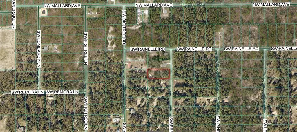 Sw Breezy Point Drive, DUNNELLON