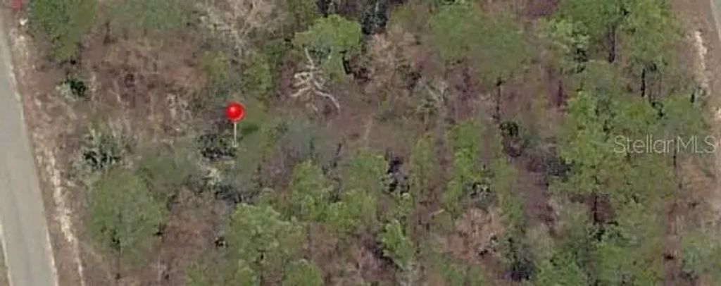 23 Fisher Lane Terrace, OCKLAWAHA