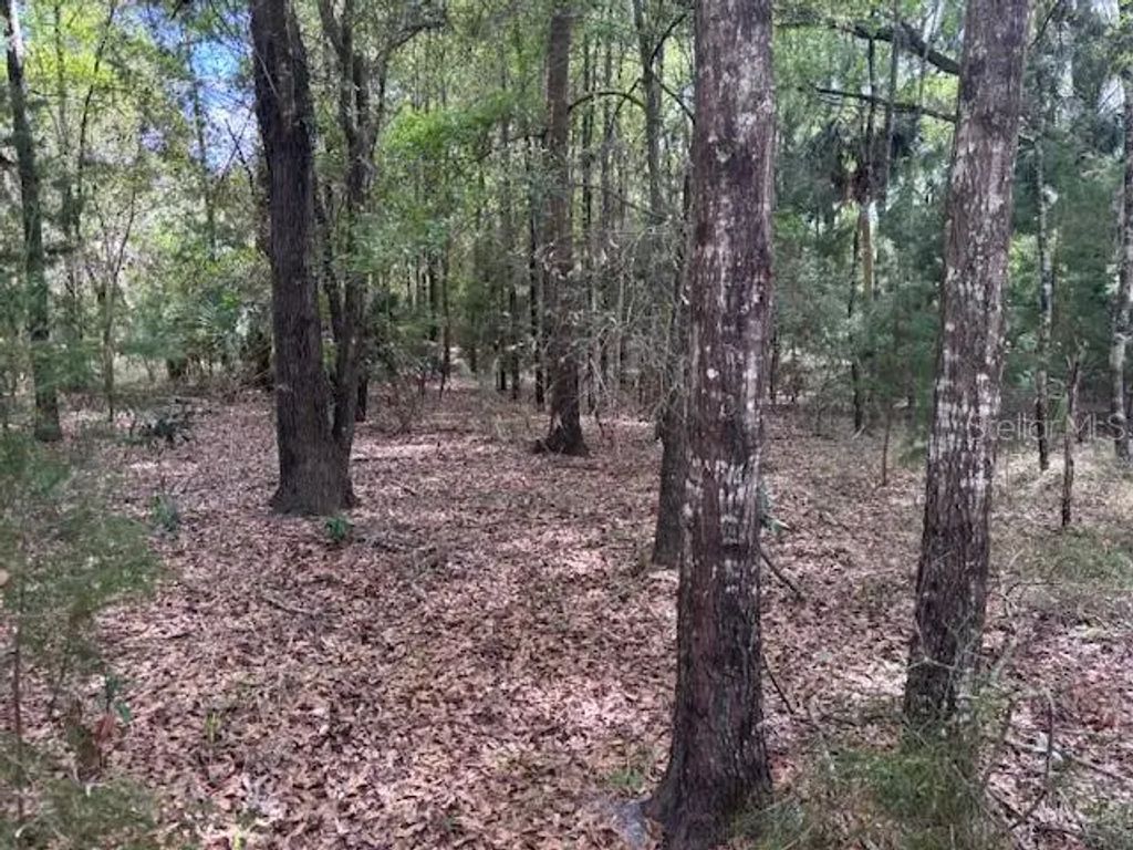 1.77 Acres Nw 73 Street, CHIEFLAND