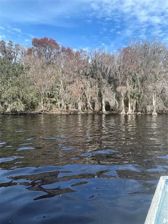 233 Stella Road, GEORGETOWN