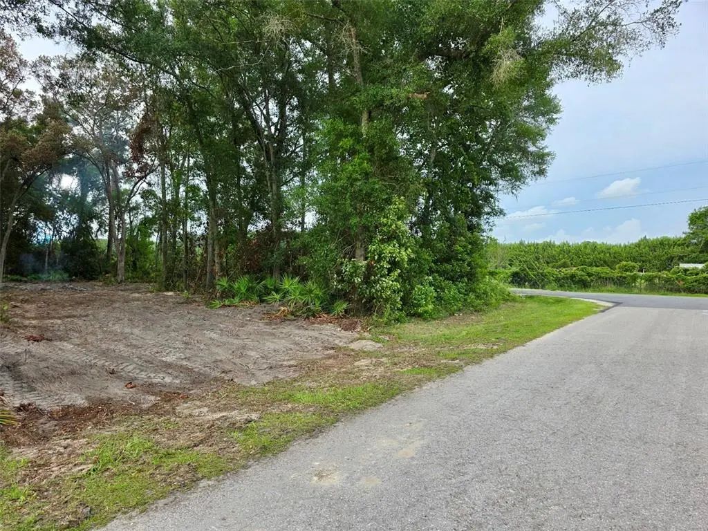 Lot 112 Nw 70th Avenue, TRENTON