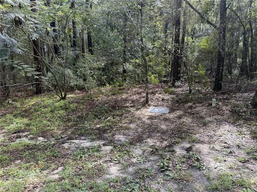 10061 N Biscayne Drive, CITRUS SPRINGS