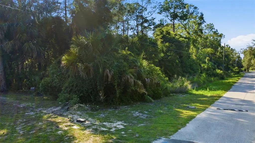 11100 W Cedar Lake Drive, CRYSTAL RIVER