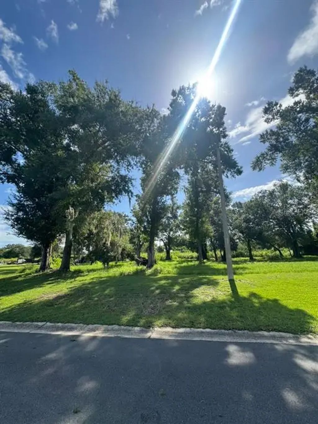 1171 Sw Melody Drive, ARCADIA