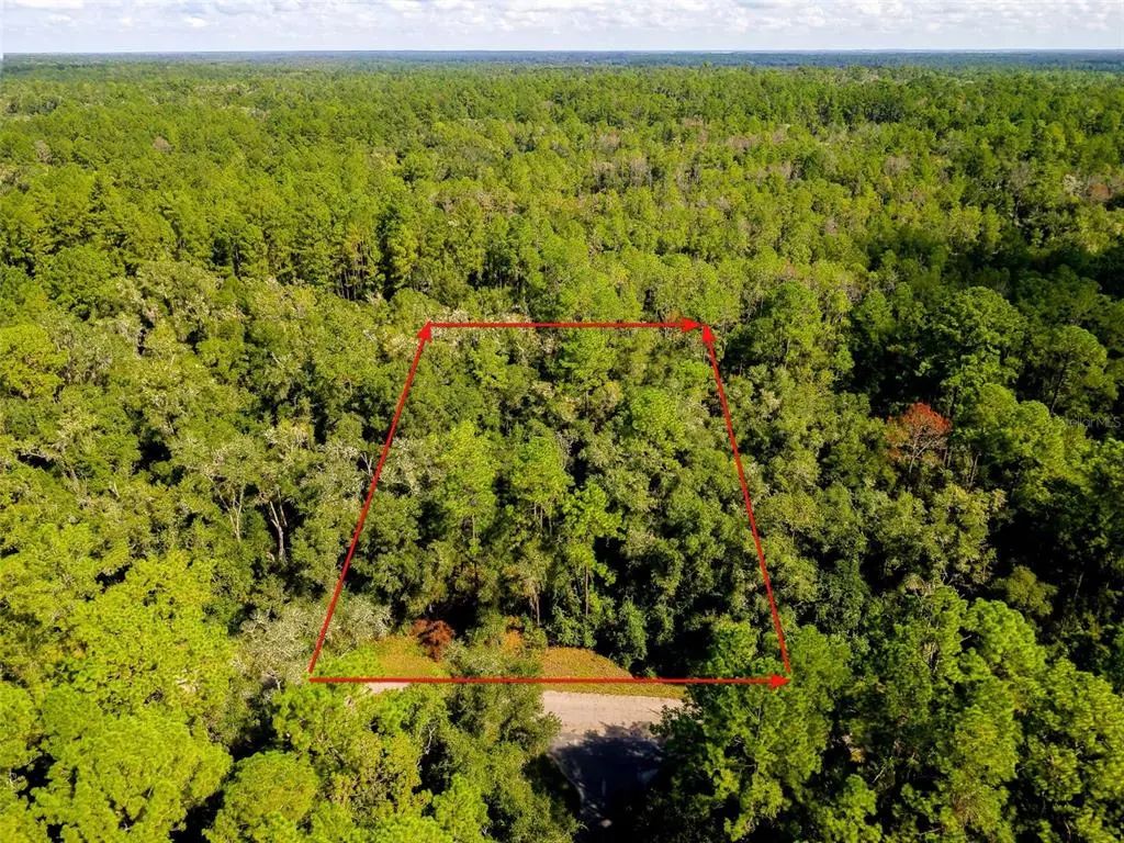 1135 E Odin Drive, CITRUS SPRINGS