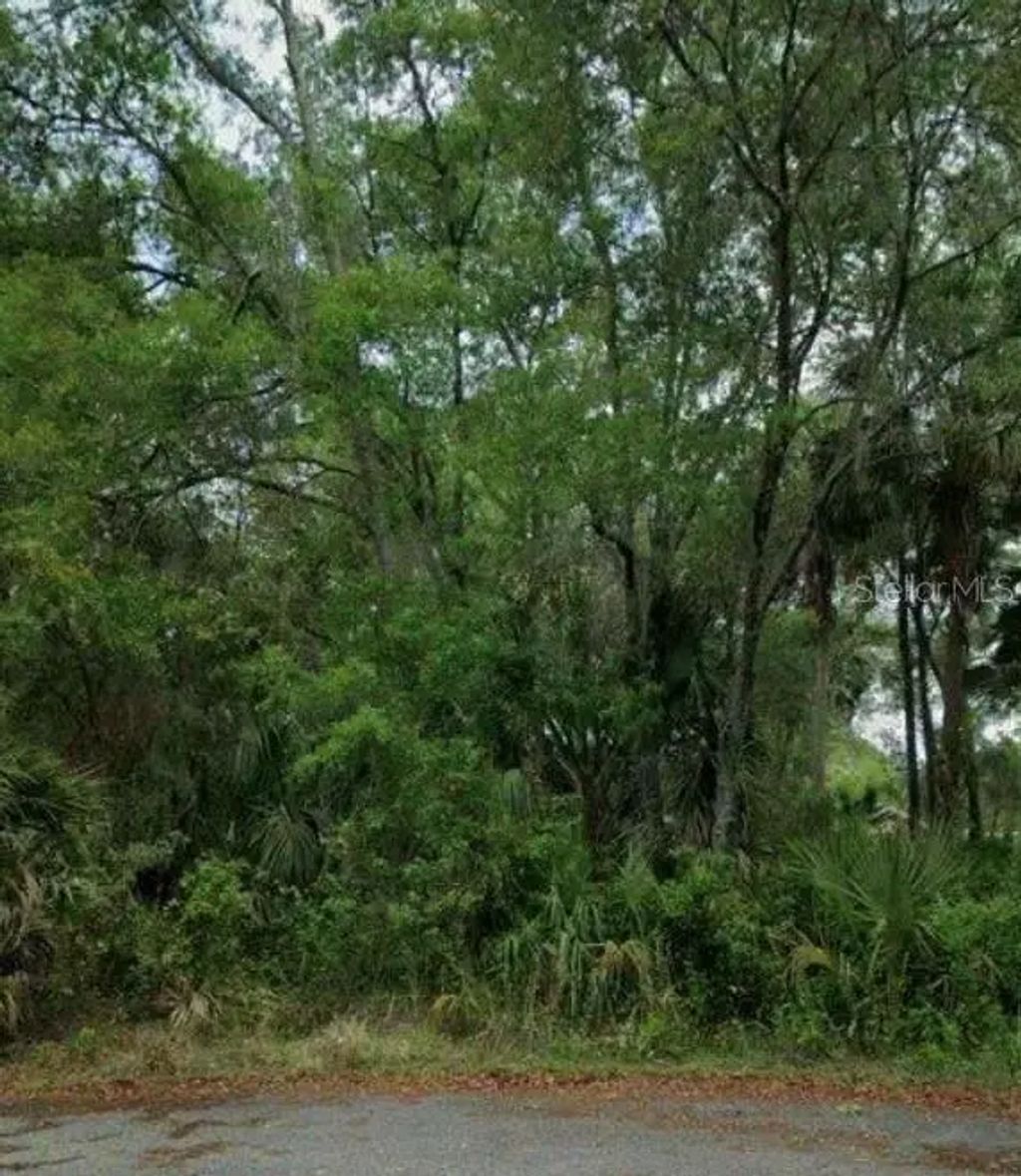 11111 W Samson Lane, Crystal River