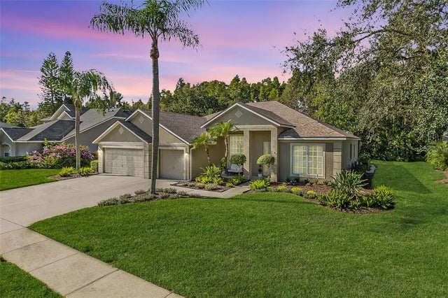 18914 Saint Laurent Drive, LUTZ