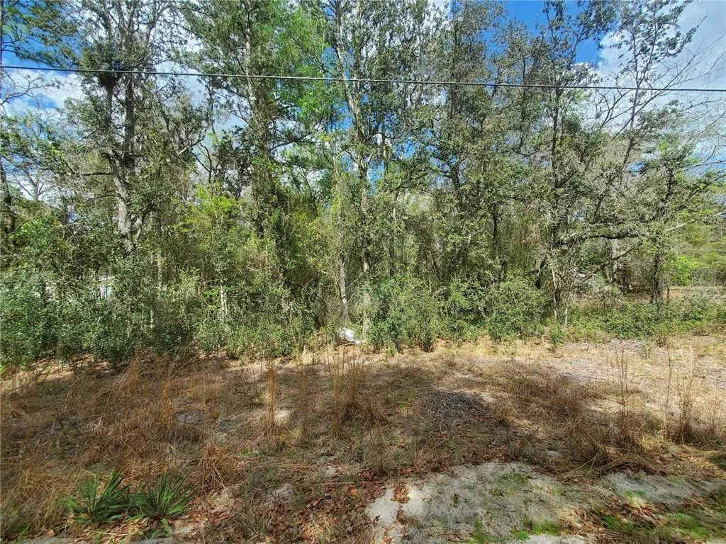 Ne 172nd Pl Lot 11, FORT MC COY