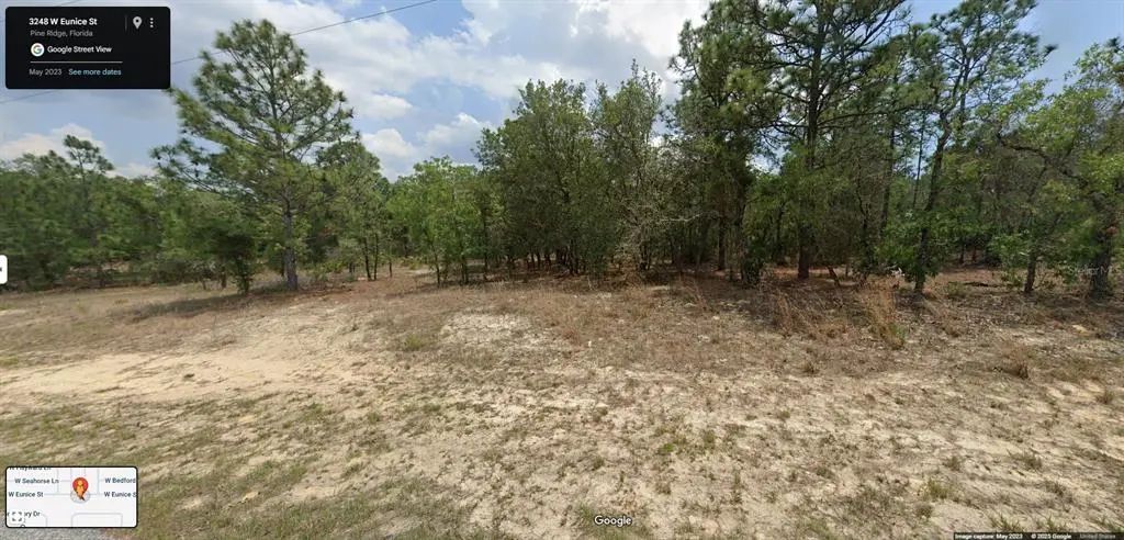 3248 W Eunice Drive, CITRUS SPRINGS