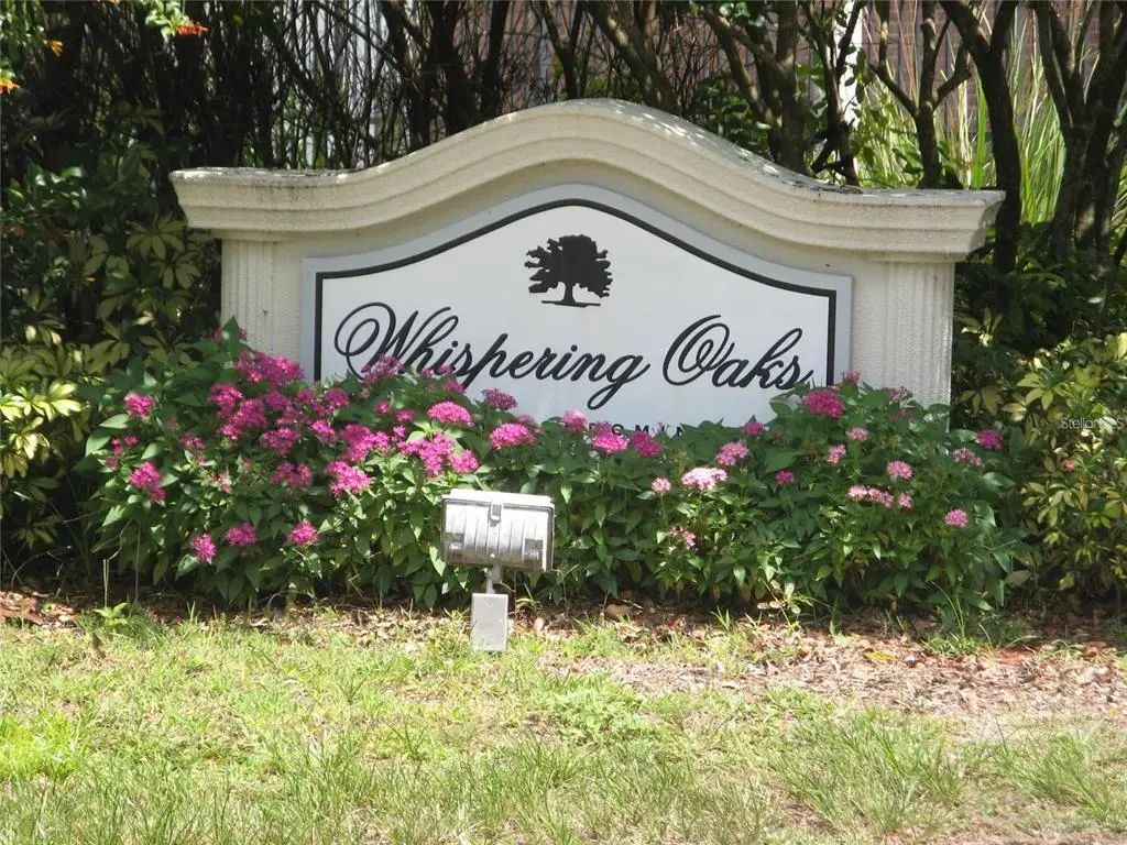 13725 Juniper Blossom Drive 202, TAMPA