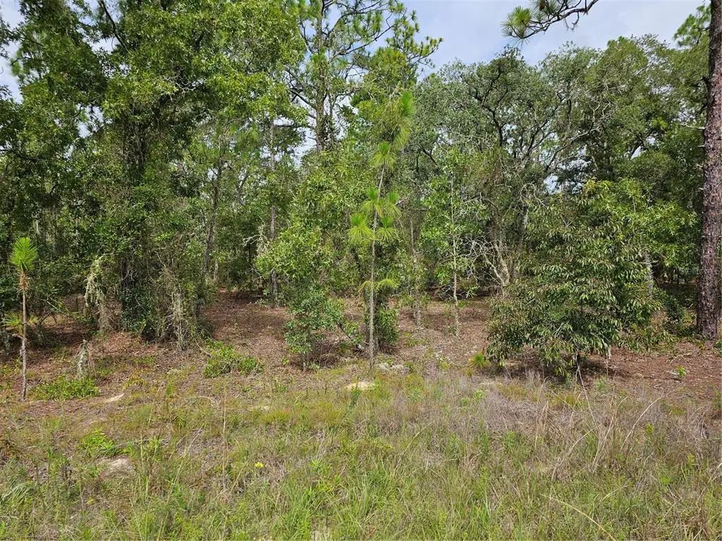 Sw 122 Avenue, DUNNELLON