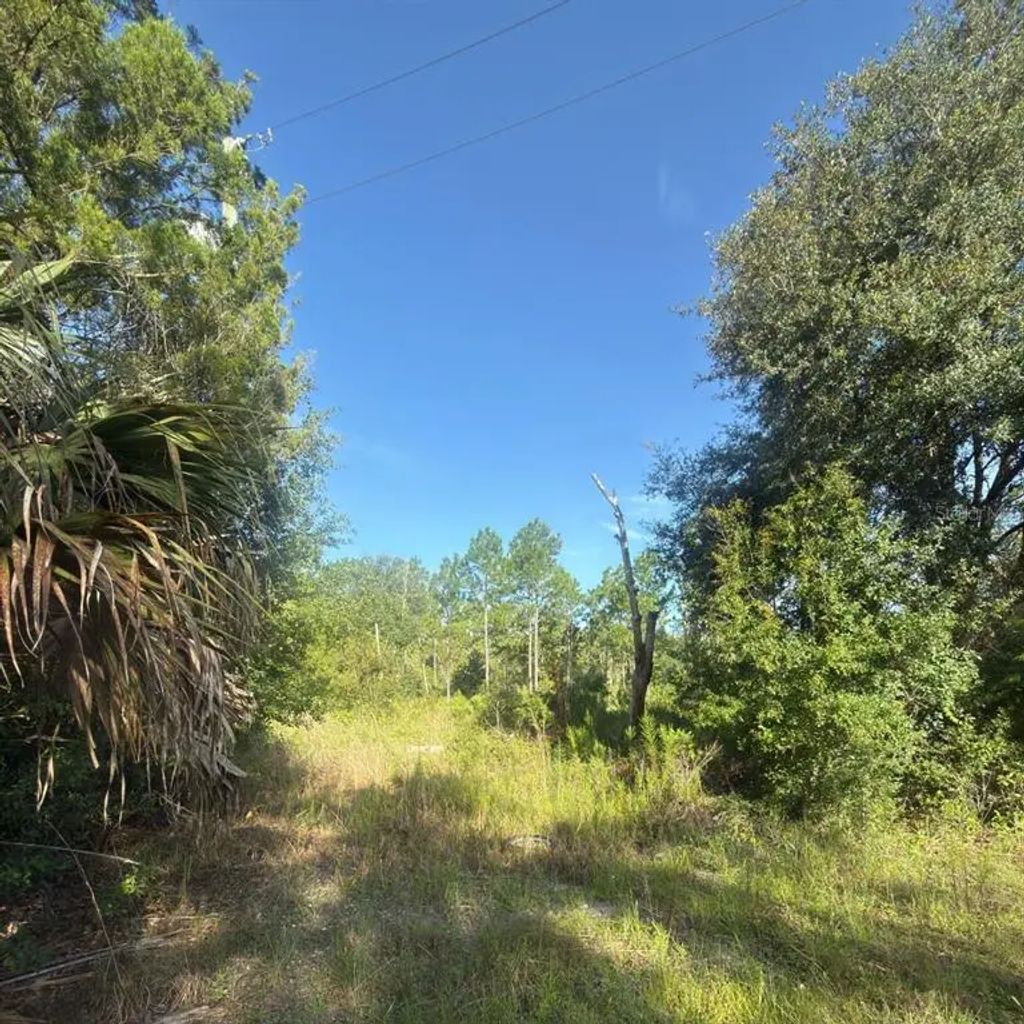 19037 Parakeet Road, BROOKSVILLE