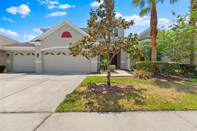 10511 Mistflower Lane, TAMPA