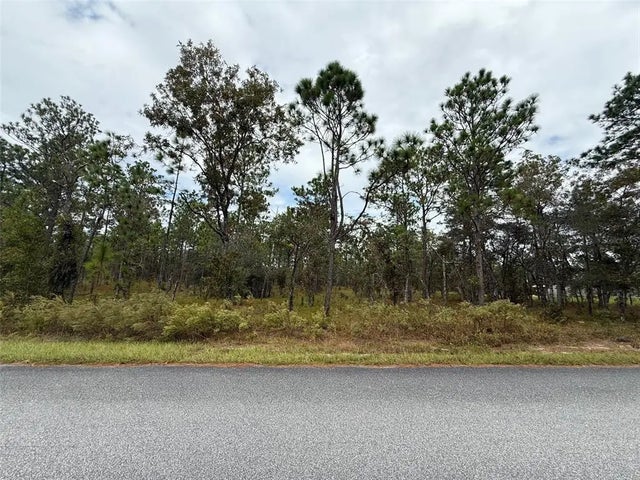 Nw Amberjack Avenue, DUNNELLON