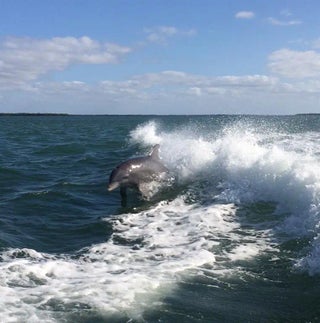 Gulf Shores Realty: 10 32c5fa68fcc489c9c6f901d8695a121f s