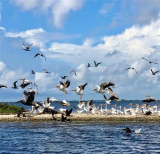 Gulf Shores Realty: 14 43b7b5ef38c1e1b46f964eb642747345 s