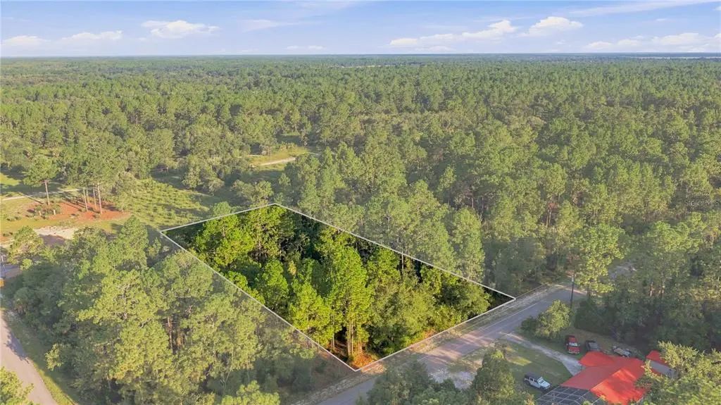 Se 133 Avenue, DUNNELLON