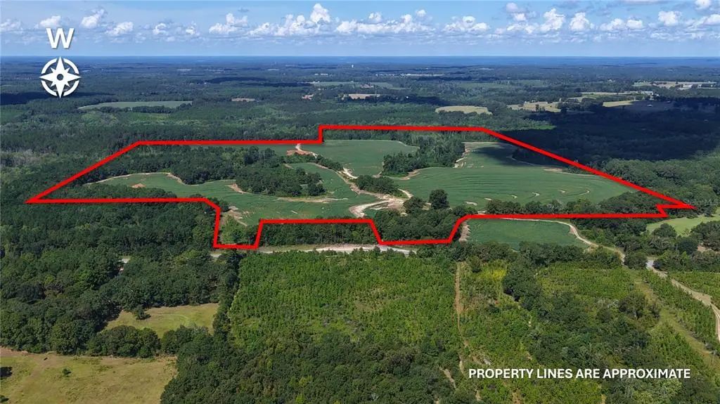31027 Us Highway 331, OPP