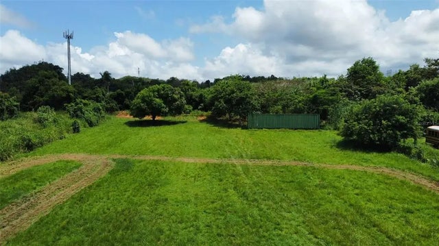 Carr 490, HATO ARRIBA,ARECIBO