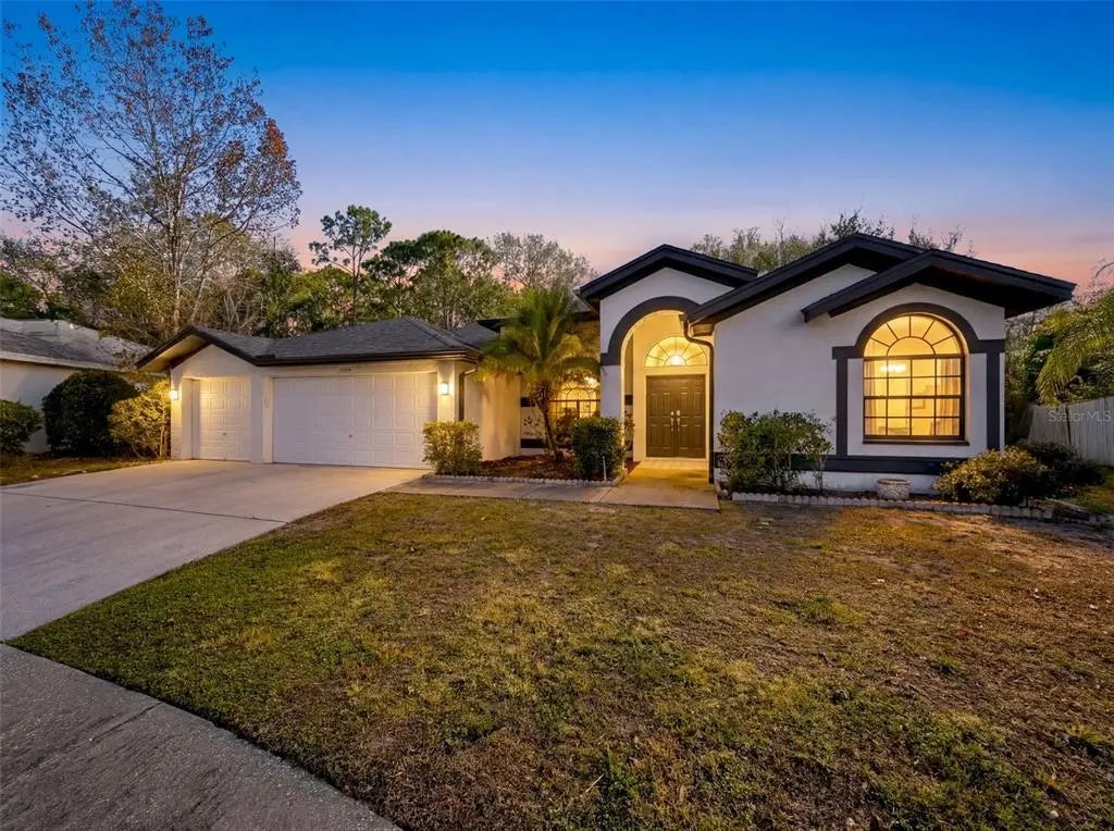 10006 Vista Pointe Drive, TAMPA